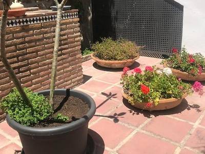 Apartamentos Turísticos La Mundial