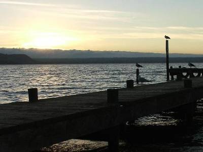 Cedarwood Lakeside Motel & Conference Venue