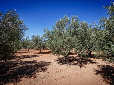 Sikelika Residence Sul Mare