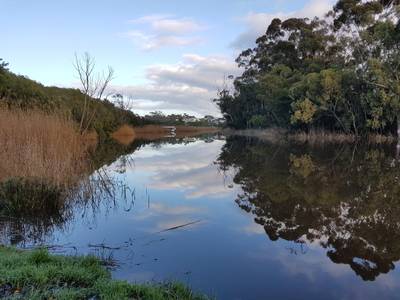 Africamps at Stanford Hills Estate
