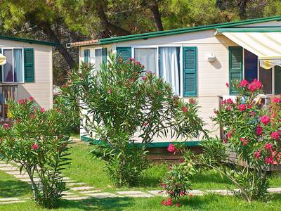 Arena Stupice Campsite