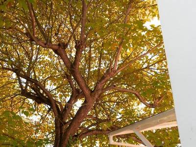 Villa Benz Hotel garni