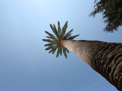 Villa delle Ciliegie