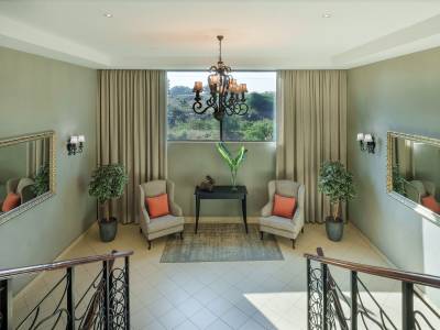 Protea Livingstone (Foto)