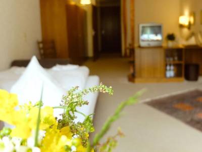 Hotel Valsana am Kurpark