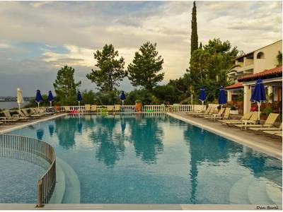 Nautilus Barbati - Bild 1