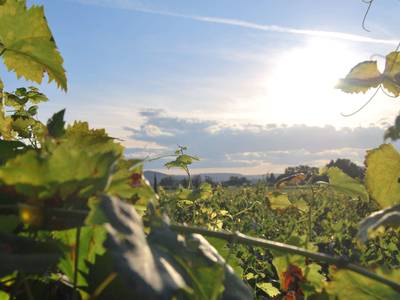 Hotel The Originals Romans-sur-Isère Le Clos des Tanneurs - Bild 1