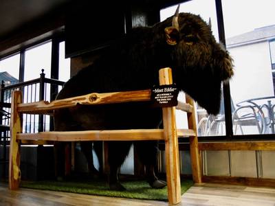 Wyndham Garden Lake Guntersville - Bild 1