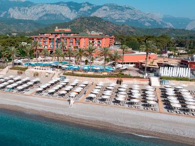 The Norm Oriental - Bild 1