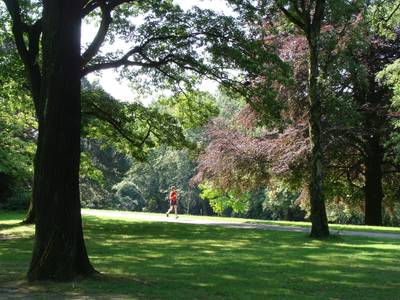 Best Western Premier Parkhotel Engelsburg - Bild 1