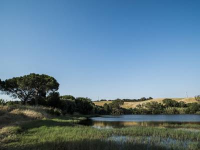 Hotel Rural Da Barrosinha - Bild 1