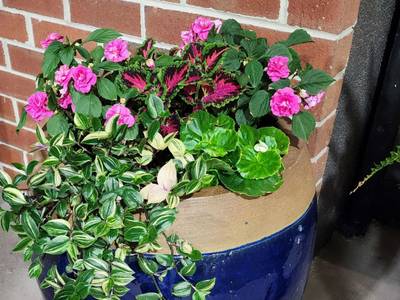 Quality Inn - Bild 1