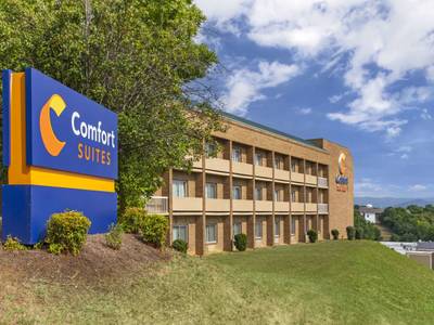 Comfort Suites Inn At Ridgewood Farm - Bild 1