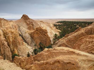 The Mora Sahara Tozeur - Bild 1