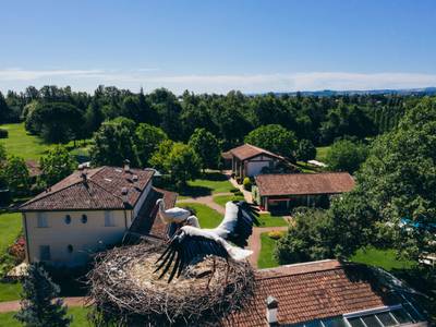 Villa Abbondanzi Resort - Bild 1