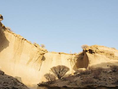 Barcelo Tenerife Royal Level - Bild 1