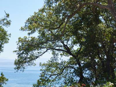 Ikos Odisia - Bild 1