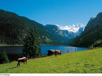 Vitalhotel Gosau - Bild 1