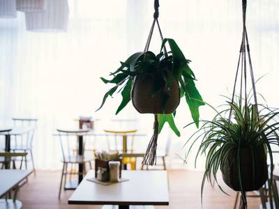 Vienna House Easy by Wyndham Amberg - Bild 1