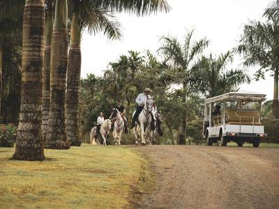 El Lugar Costa Rica Resort - Bild 1