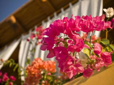 Cala de Mar Resort & Spa - Bild 1