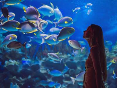 Labourdonnais Waterfront Hotel - Bild 1