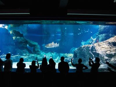 Labourdonnais Waterfront Hotel - Bild 1