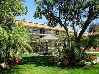 Palm Garden - Bild 1