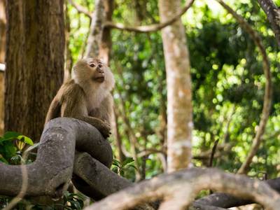 The Originals City Hotel Agora - Bild 1