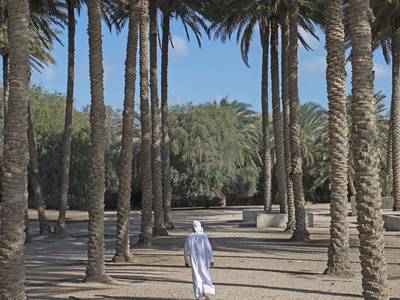 Anantara Sir Bani Yas Island Al Yamm Villa Resort - Bild 1