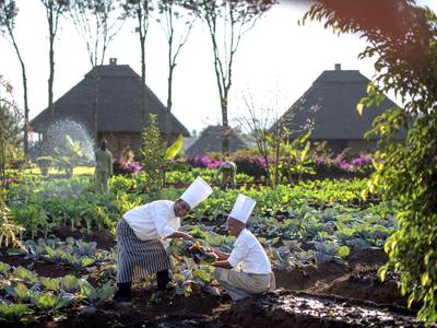 Neptune Ngorongoro Luxury Lodge - Bild 1
