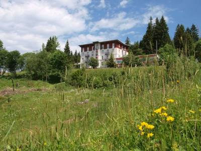 Waldhotel am Notschreipass - Bild 1