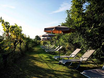 Steigenberger Hotel & Spa Krems - Bild 1