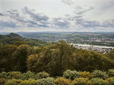 Steigenberger Icon Grandhotel & Spa Petersberg - Bild 1