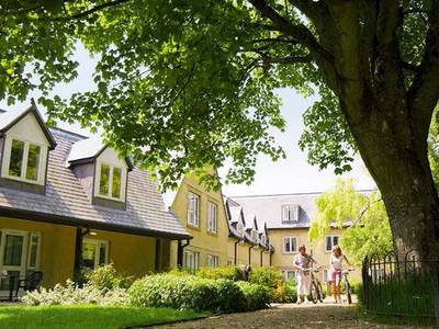 Cricket St. Thomas - Bild 1