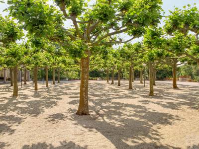 Dolce by Wyndham Bad Nauheim - Bild 1