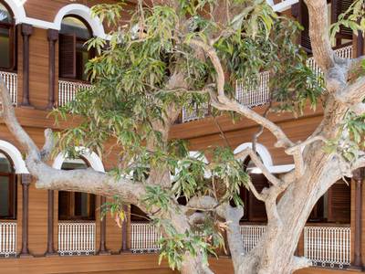 Park Hyatt Zanzibar - Bild 1