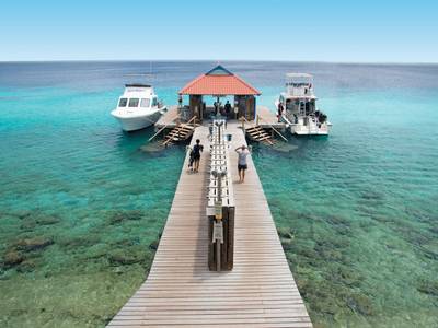 Divi Flamingo Beach Resort & Casino - Bild 1