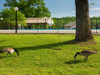 Escapes! to Branson Yacht Club - Bild 1