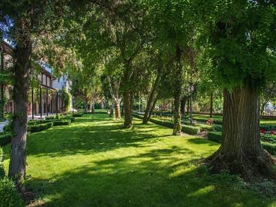 Effect Algara Beach - Bild 1