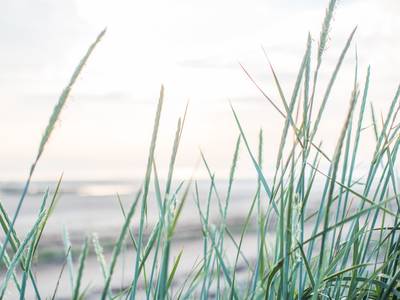 Marine Troon - Bild 1