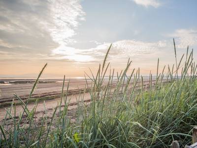 Marine Troon - Bild 1