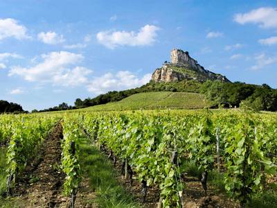 Mercure Macon Bord de Saone Hotel - Bild 1