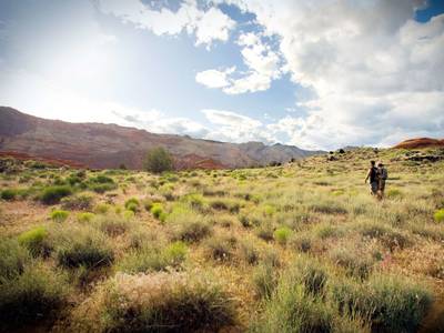 Red Mountain Resort & Spa - Bild 1