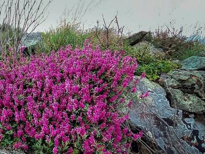 Simbavati Cederberg Ridge - Bild 1