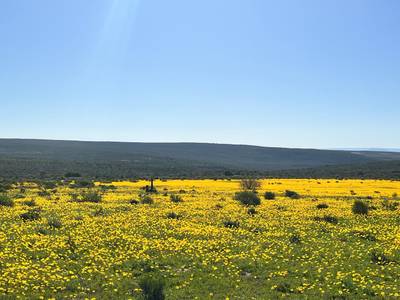 Simbavati Cederberg Ridge - Bild 1