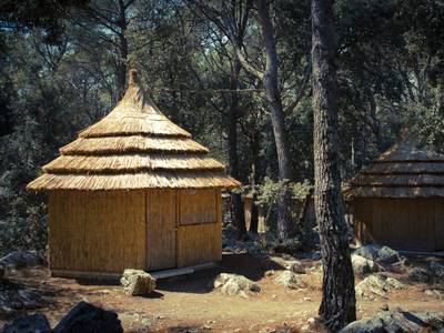 Pine Beach Pakostane - Bild 1