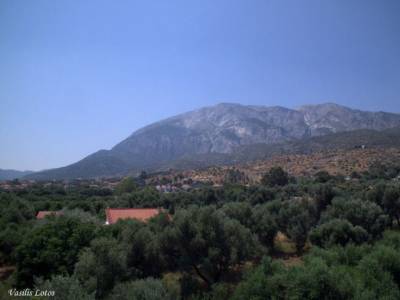 Hotel Sofia - Bild 1