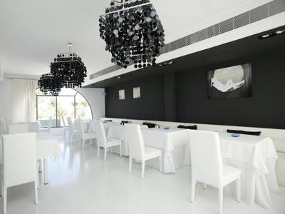 Zhero Palma - Bild 1