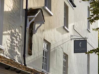 The Feathers - Bild 1